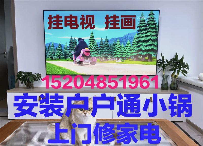 上門(mén)修家電，掛電視，掛畫(huà)，安小鍋，安熱水器15204851961
