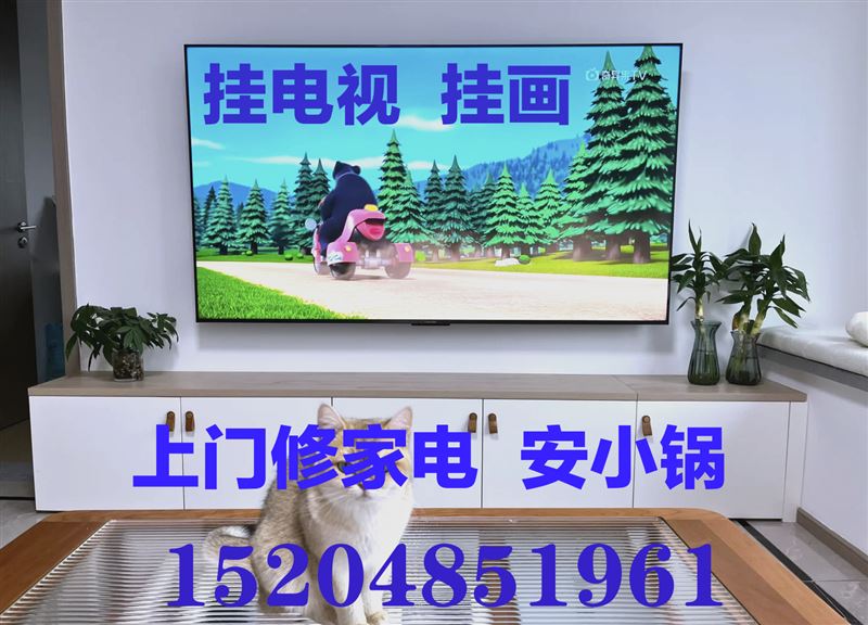 上門(mén)修家電，掛電視，掛畫(huà)，安小鍋，安熱水器15204851961
